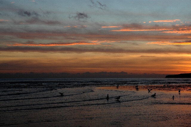 min 2007 11 25 camber plage 070